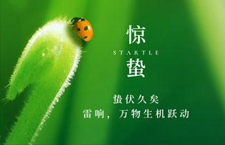 今日驚蟄丨春雷始鳴，萬物生長！